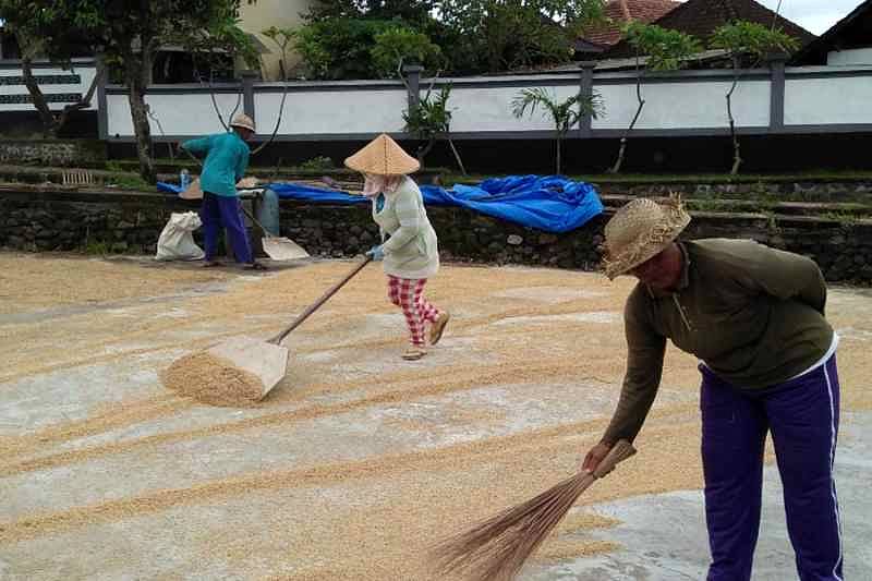 Waspada, Kenaikan Harga Beras Berlanjut