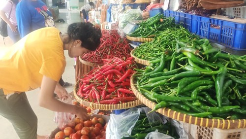 Masuk Bulan Puasa, Harga Cabai Rawit Melejit Capai Rp.125 Ribu Per Kg